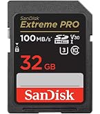 メモリーカード32GB Amazon.com: SANDISK 32 GB Class 4 SD Flash Memory Card SDSDB-032G